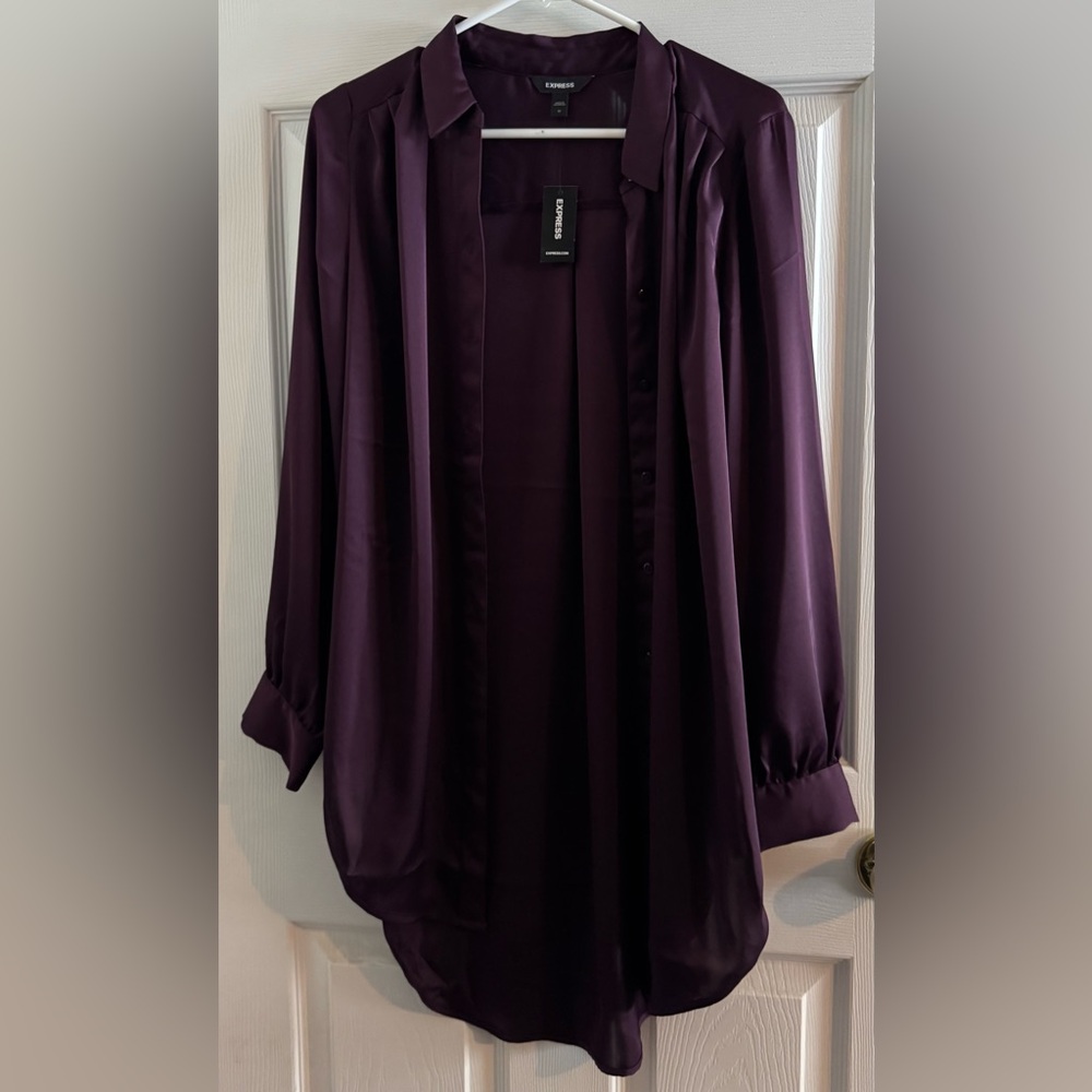 Express Sheer Purple Button-Up Blouse | Women’s Medium | NWT